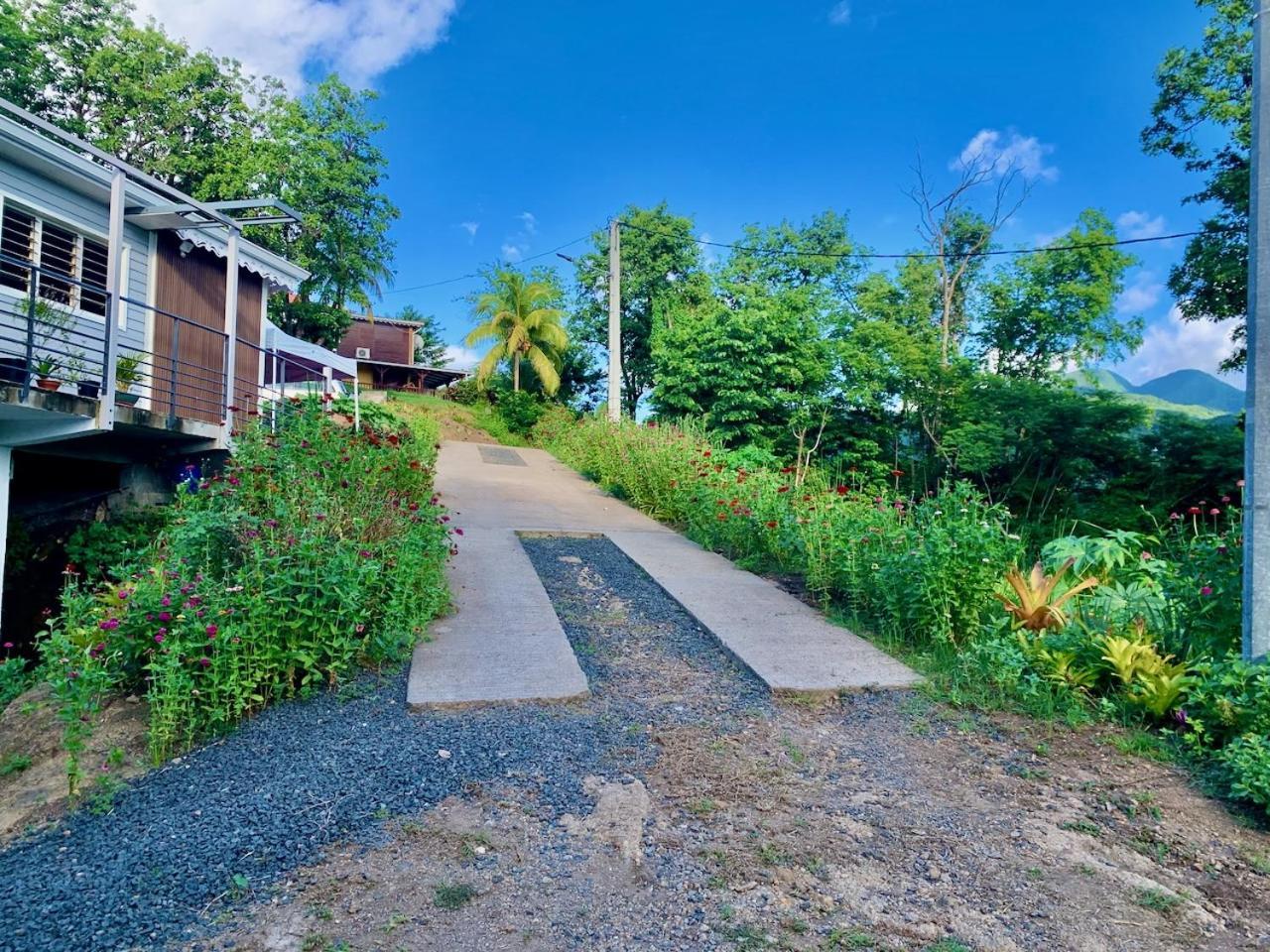 Les Gites De La Reserve บูญองต์ ภายนอก รูปภาพ
